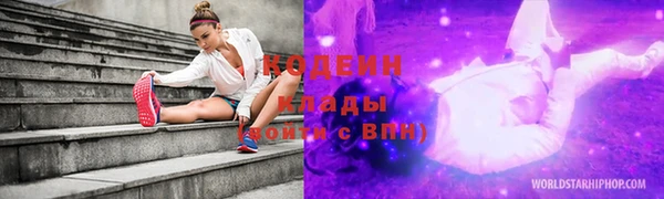 прущие грибы Белокуриха