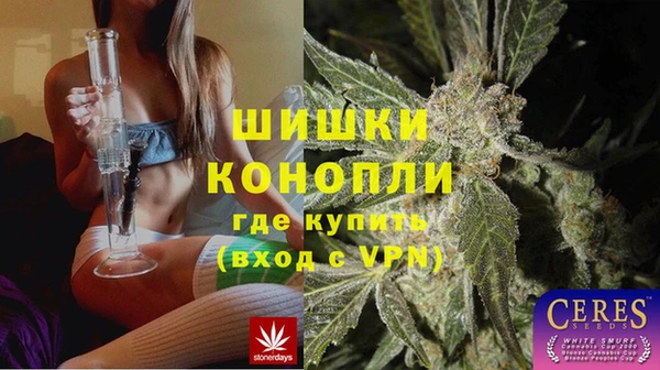шишки Беломорск