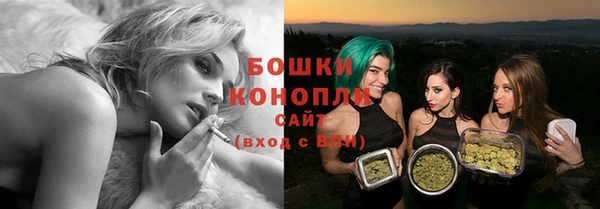 прущие грибы Белокуриха