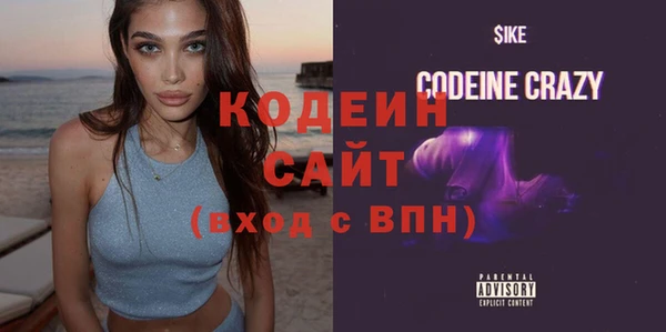 шишки Беломорск