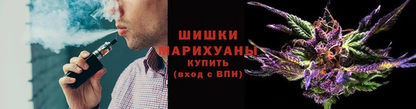 шишки Беломорск