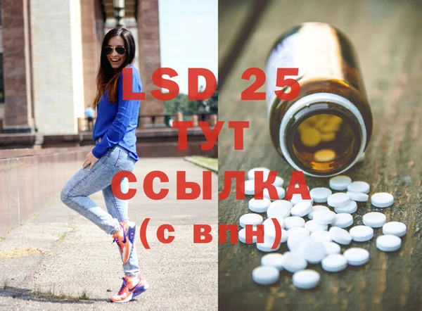 прущие грибы Белокуриха