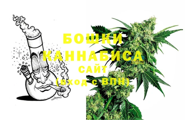 шишки Беломорск