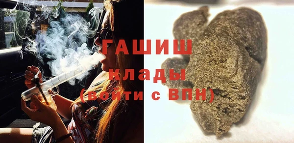 прущие грибы Белокуриха
