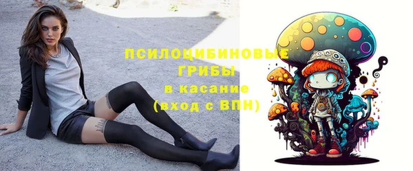 шишки Беломорск