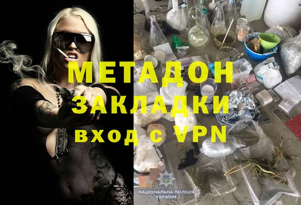 прущие грибы Белокуриха