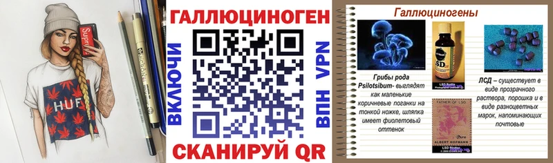 Псилоцибиновые грибы Psilocybe  Кумертау 